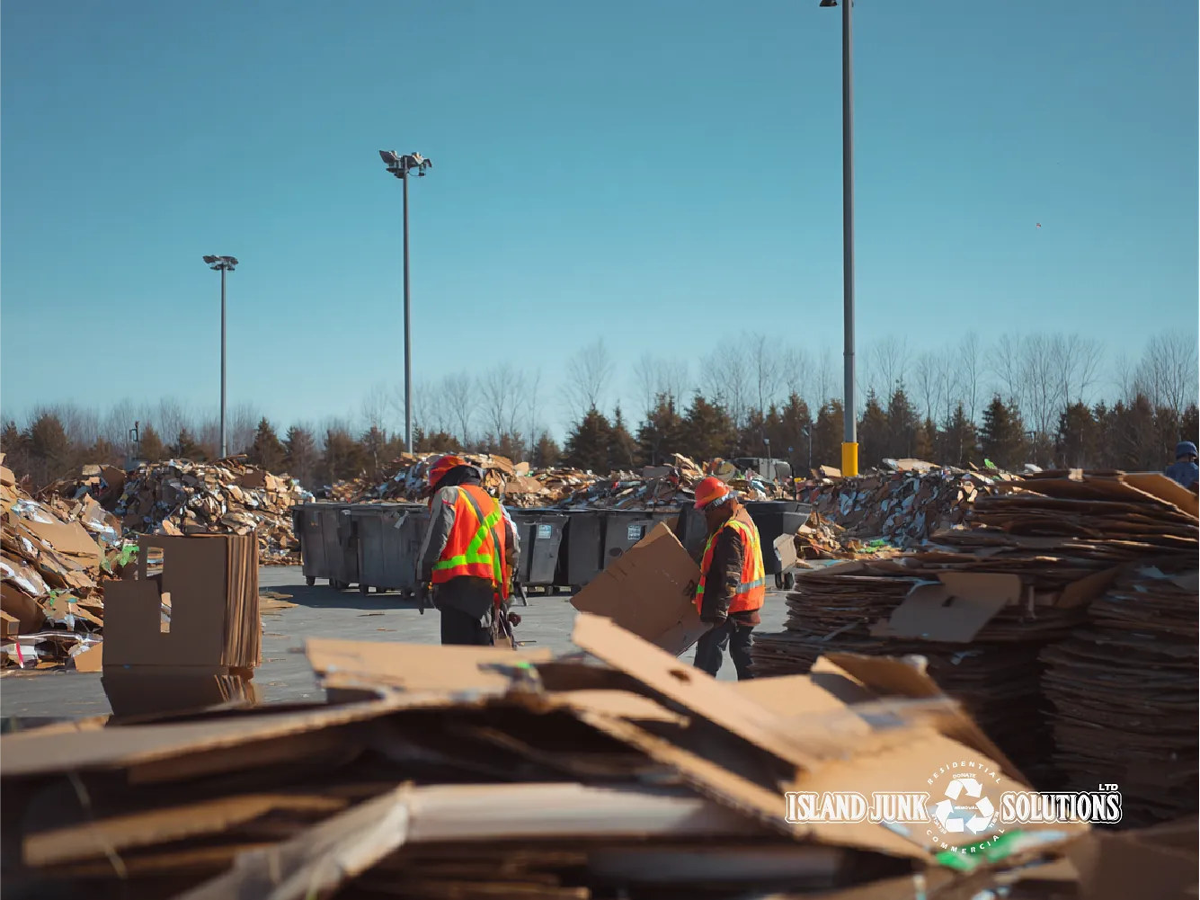 Cardboard- Cardboard